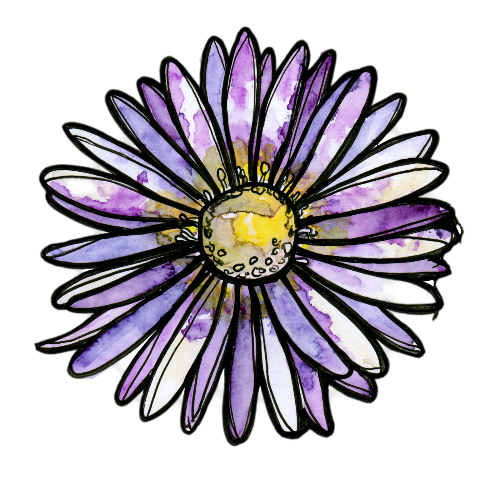 Aster