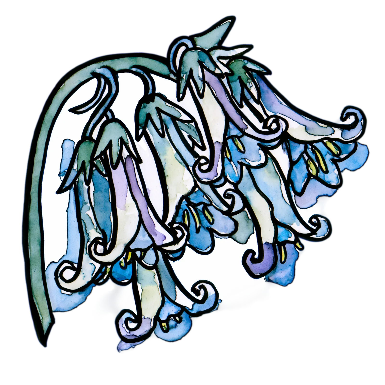 Bluebell