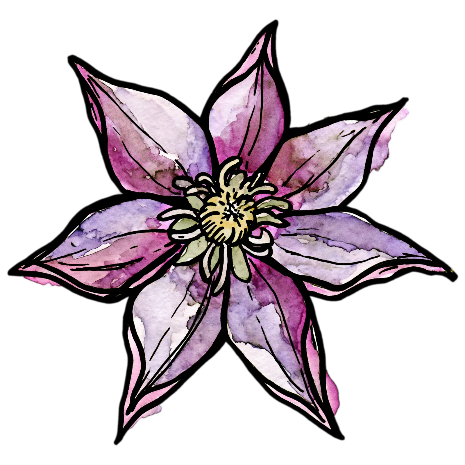 Clematis