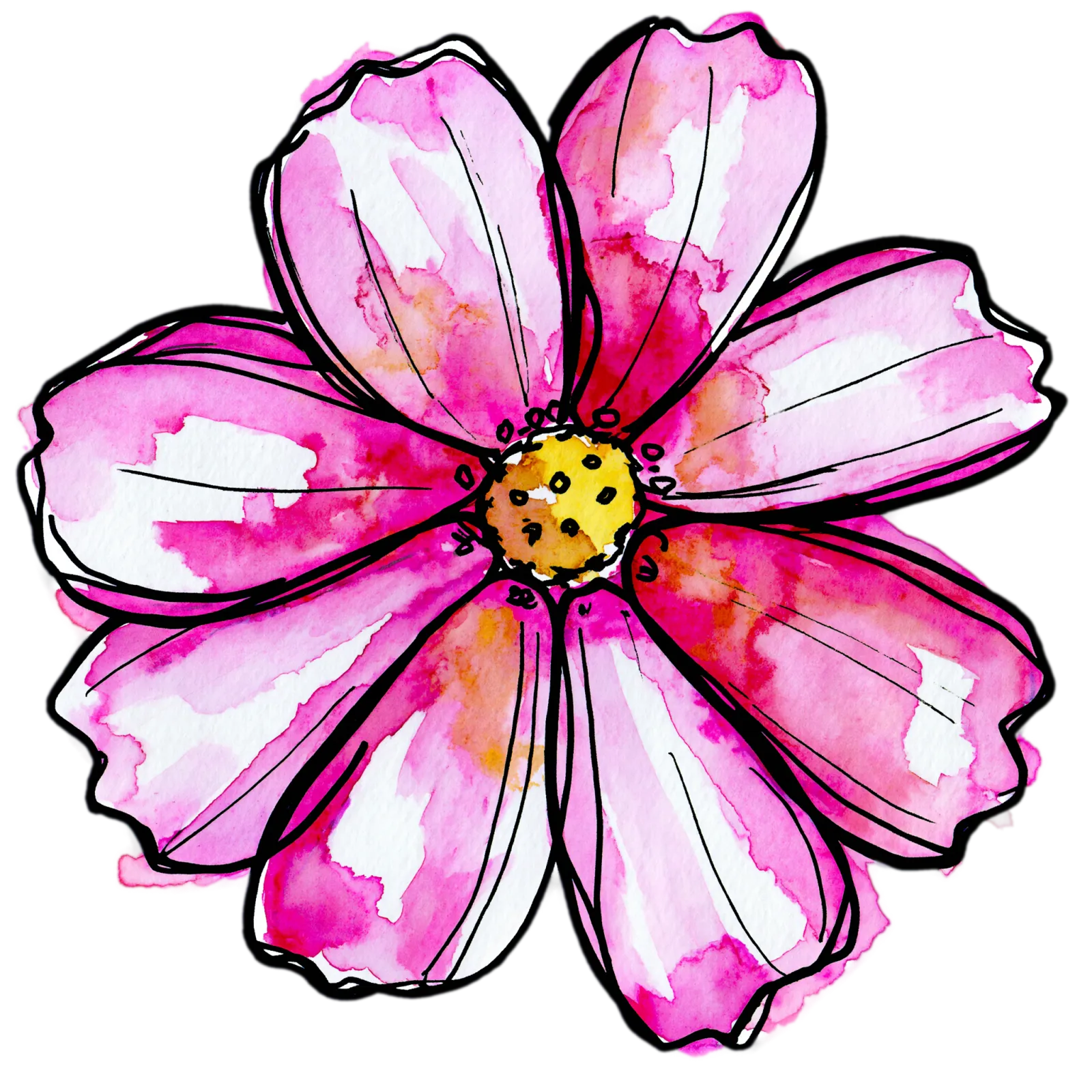 Cosmos