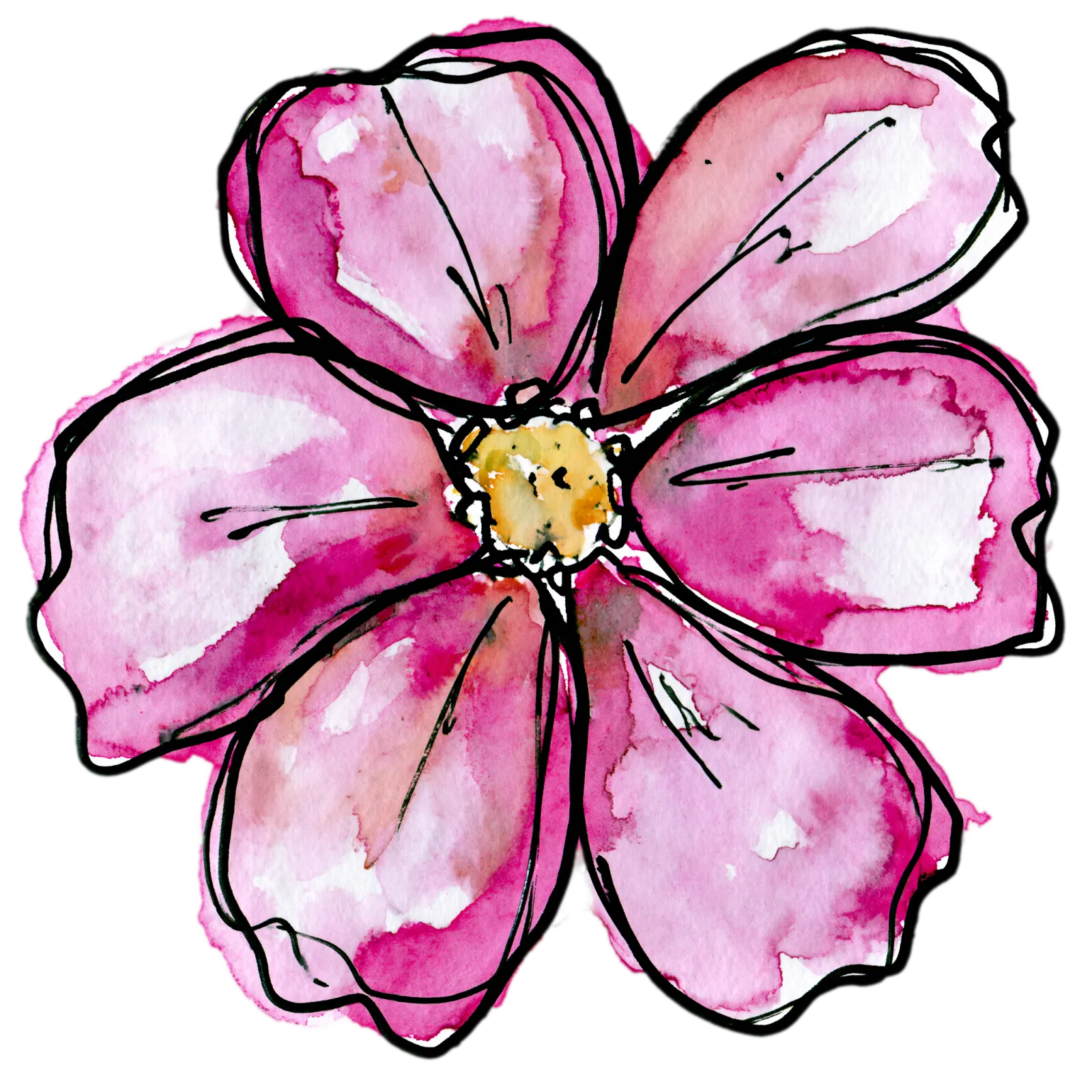 Cosmos
