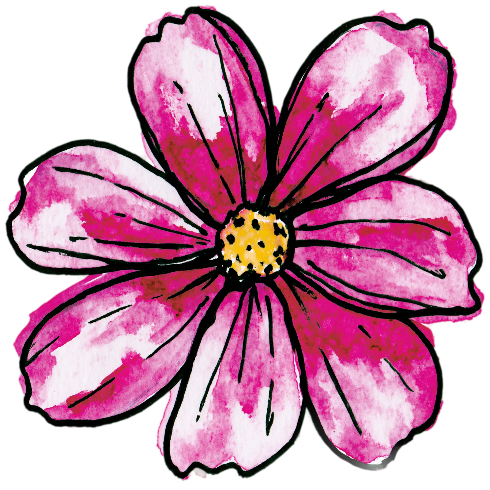 Cosmos