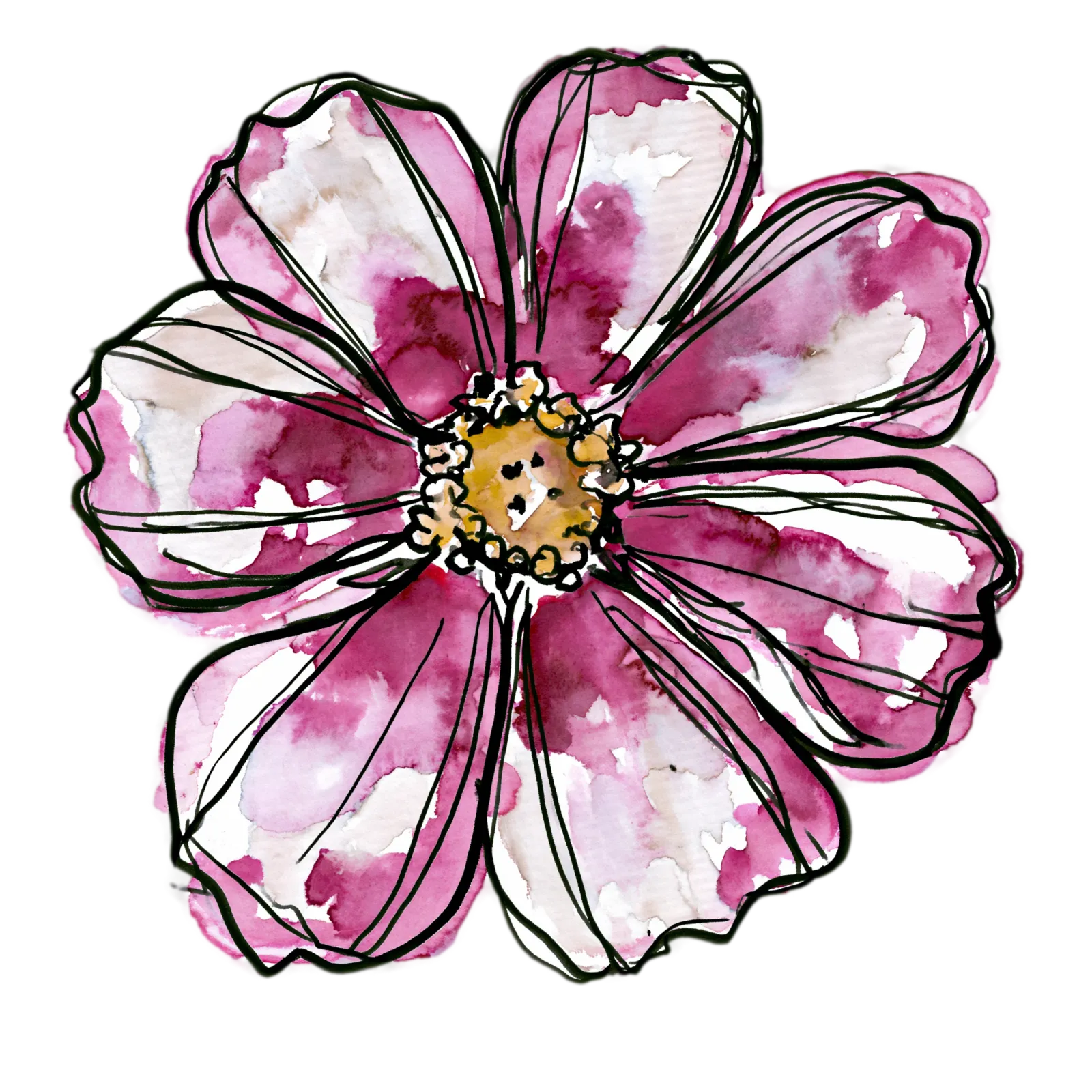 Cosmos