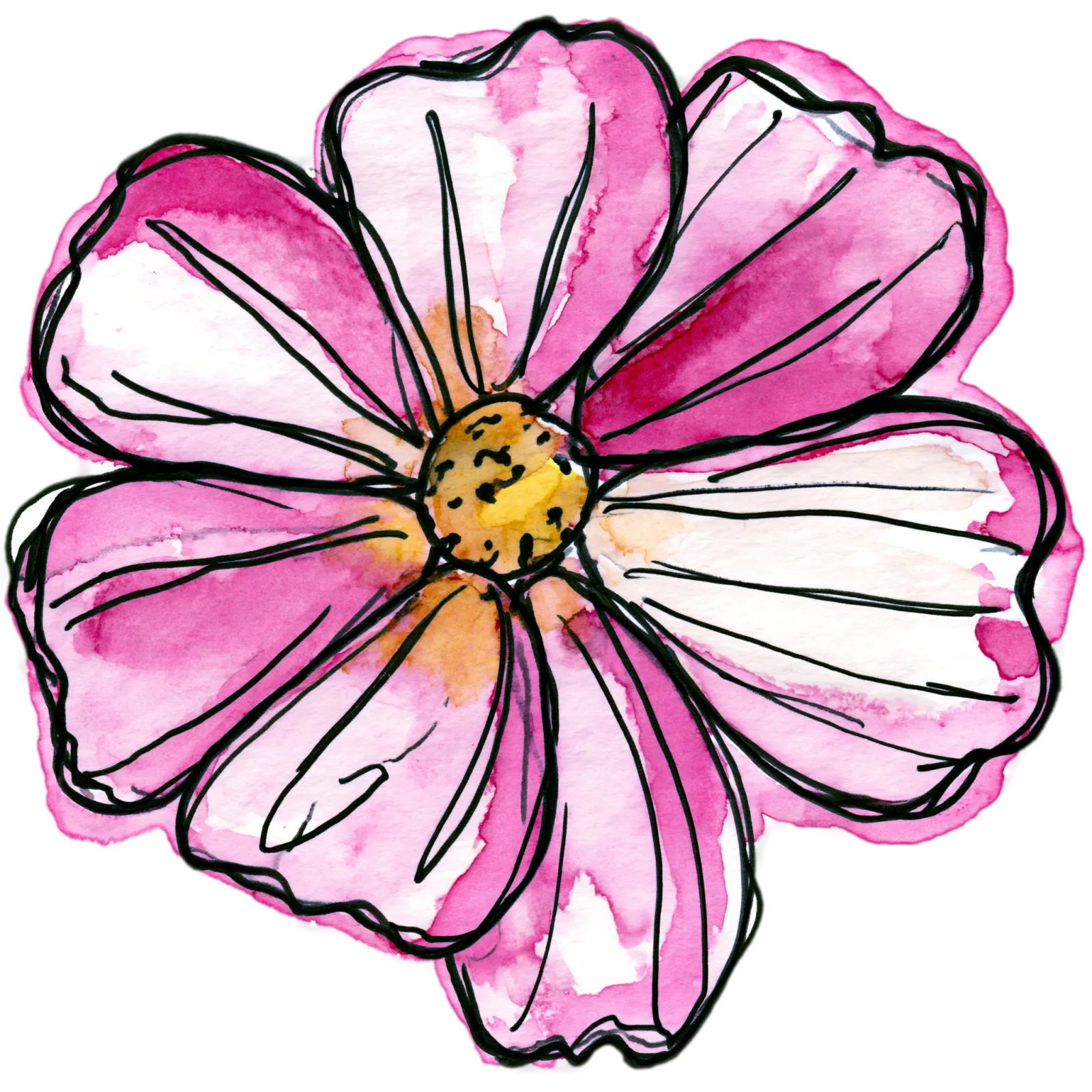 Cosmos
