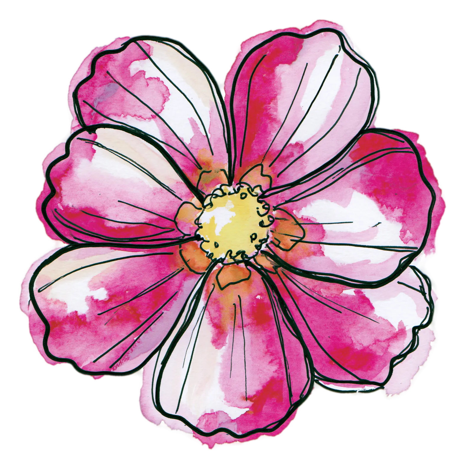Cosmos