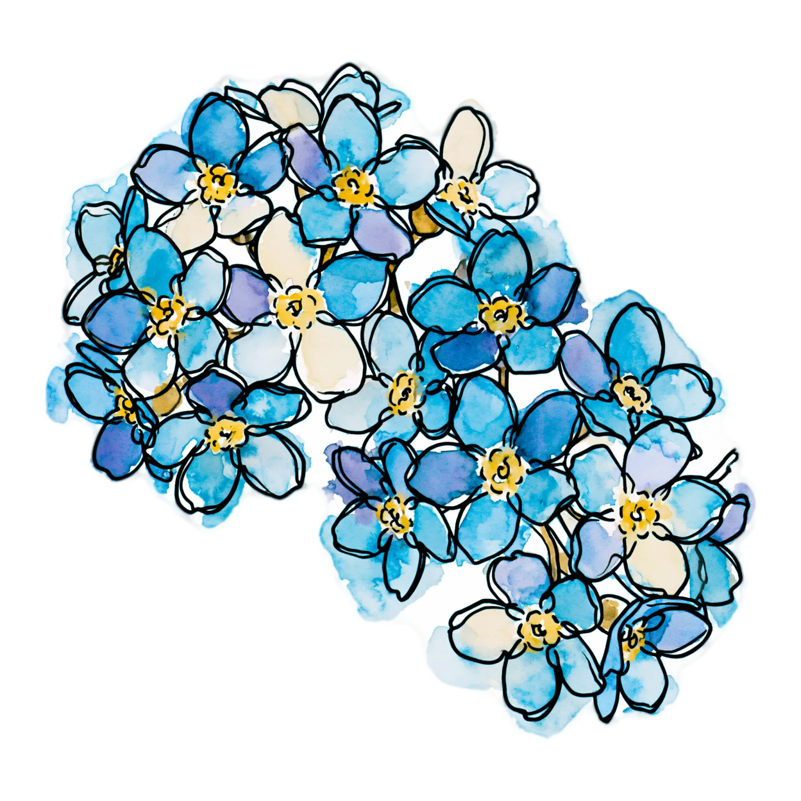 Forget Me Not