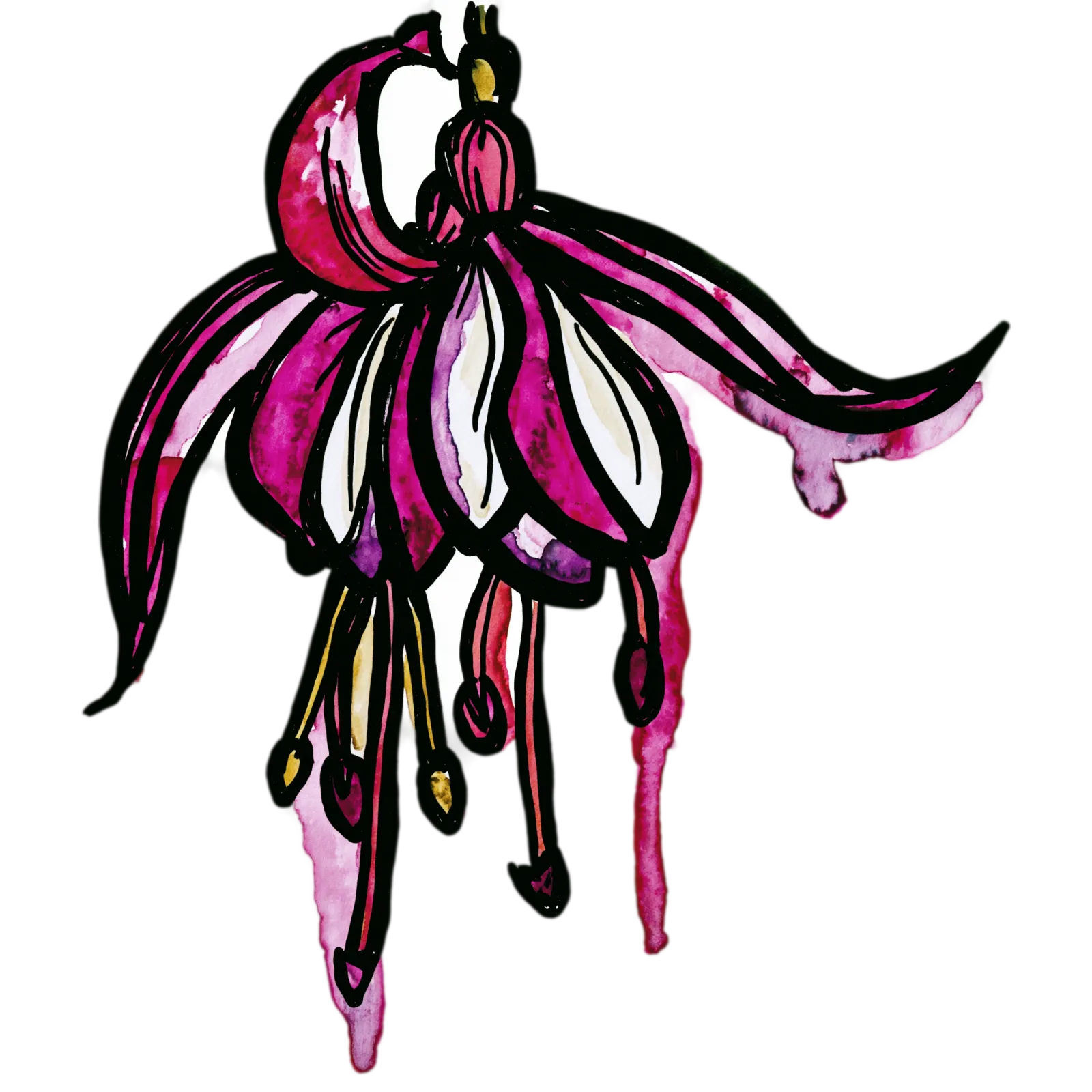 Fuchsia