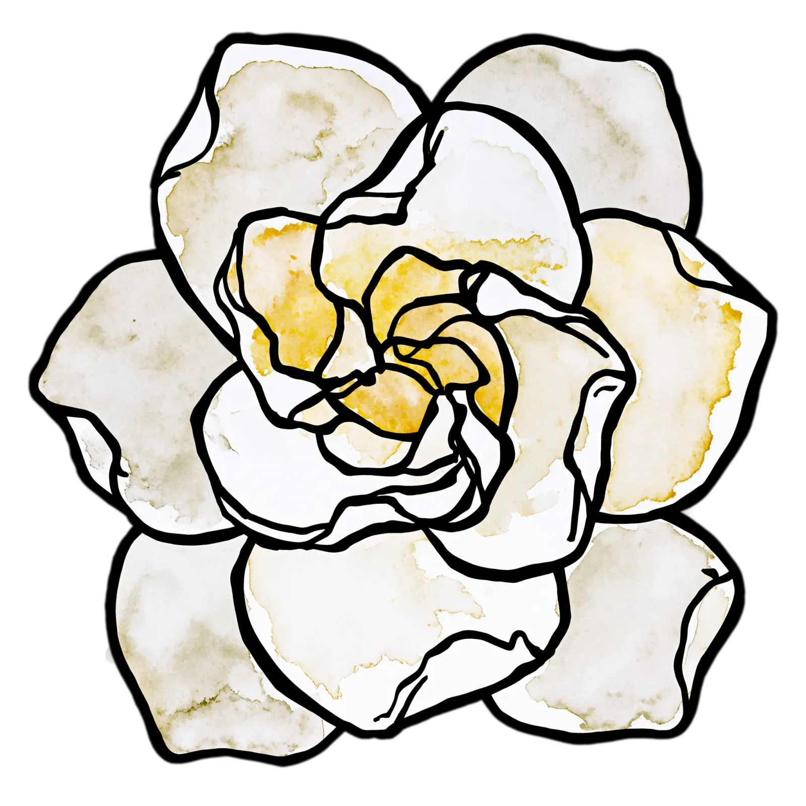 Gardenia