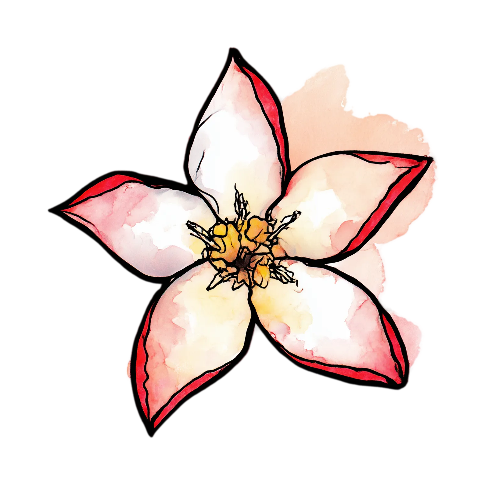 Impala Lily