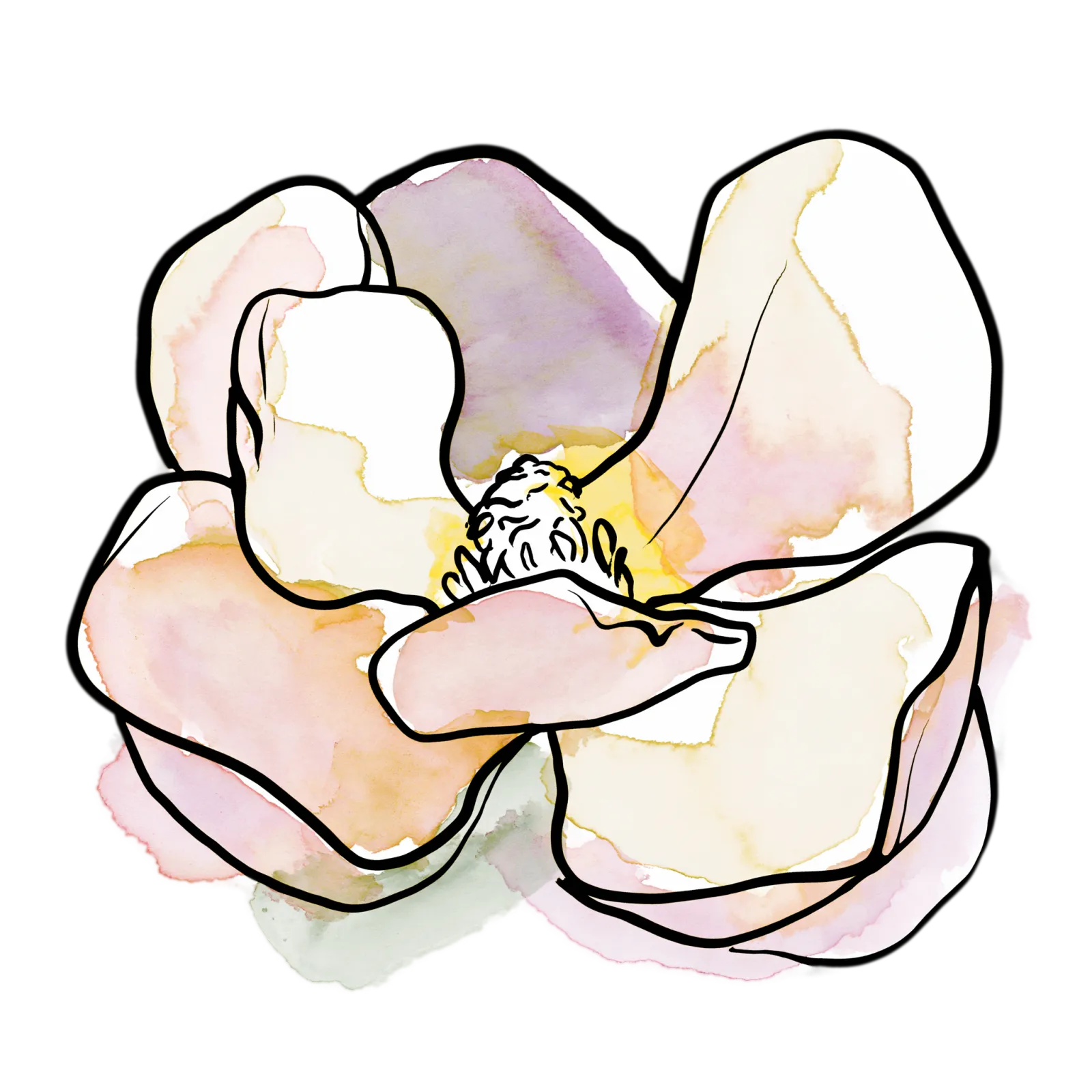 Magnolia