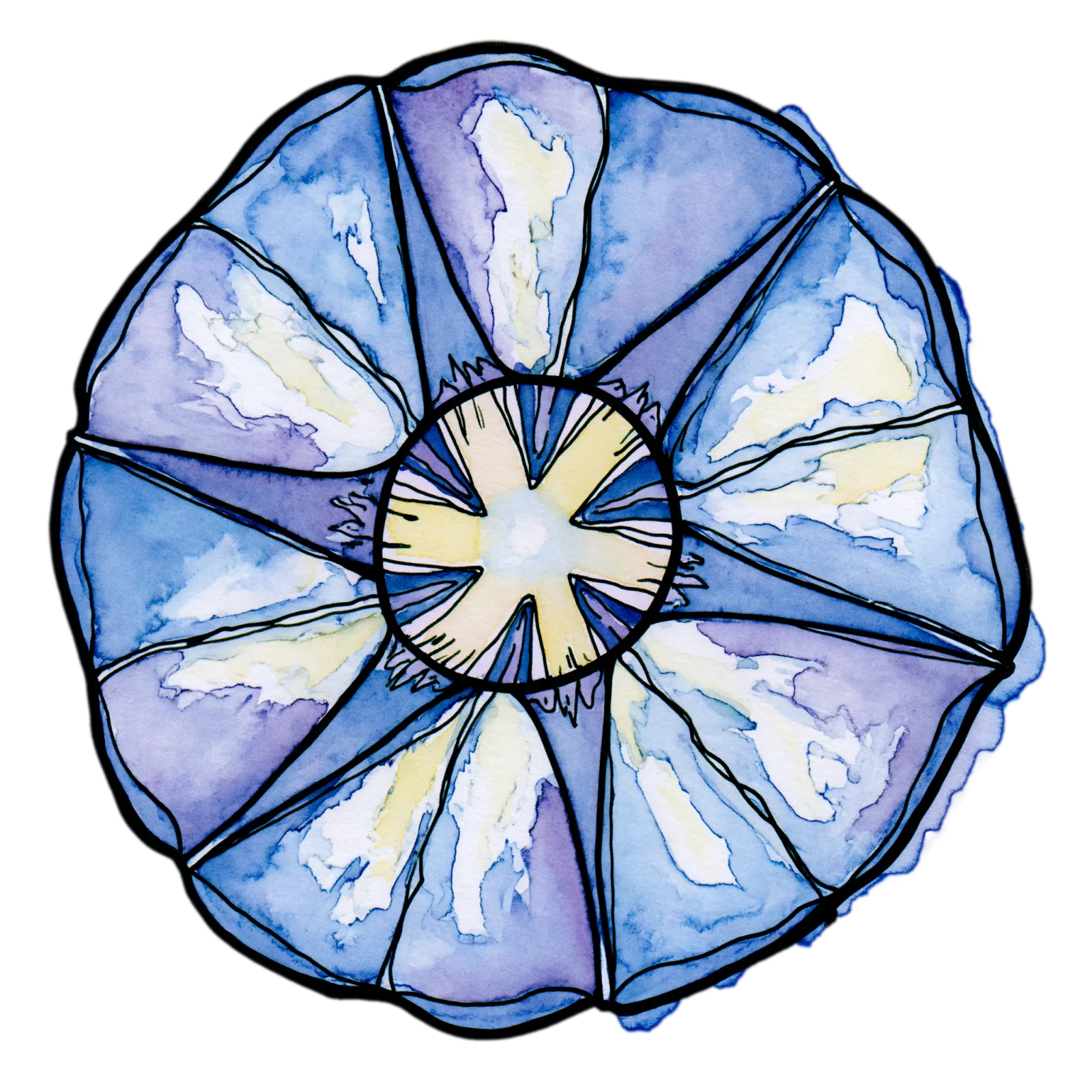 Morning Glory