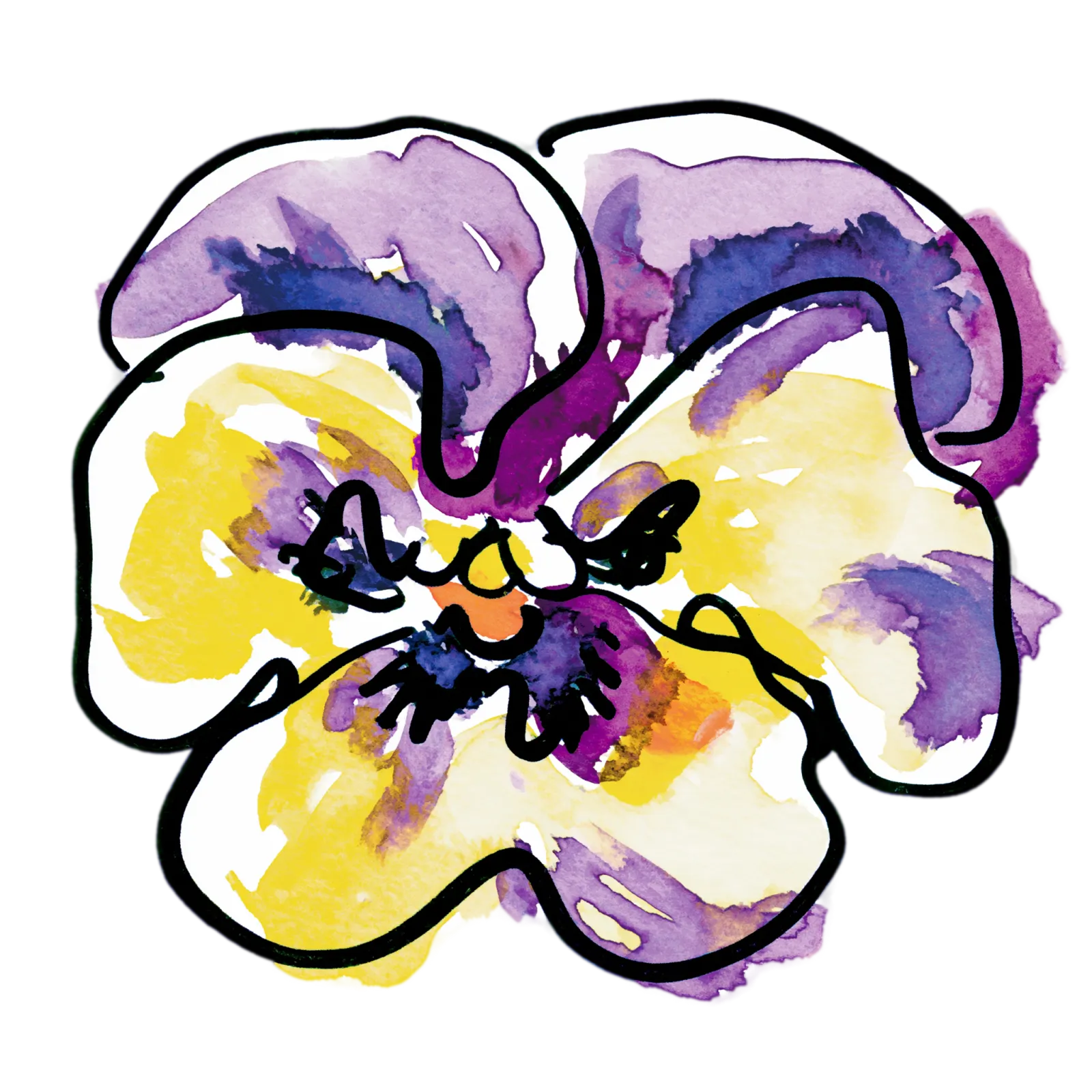 Pansy