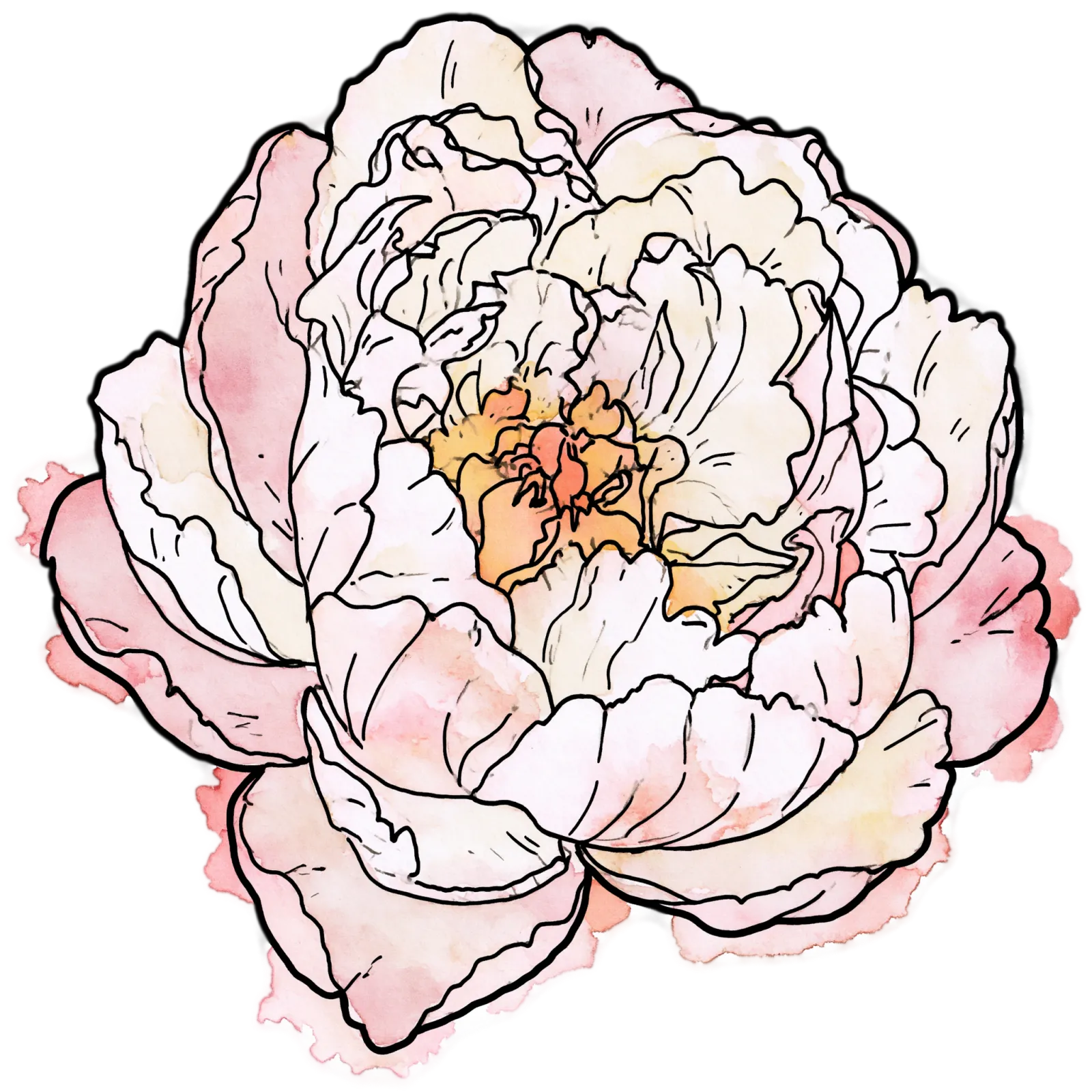 Peony