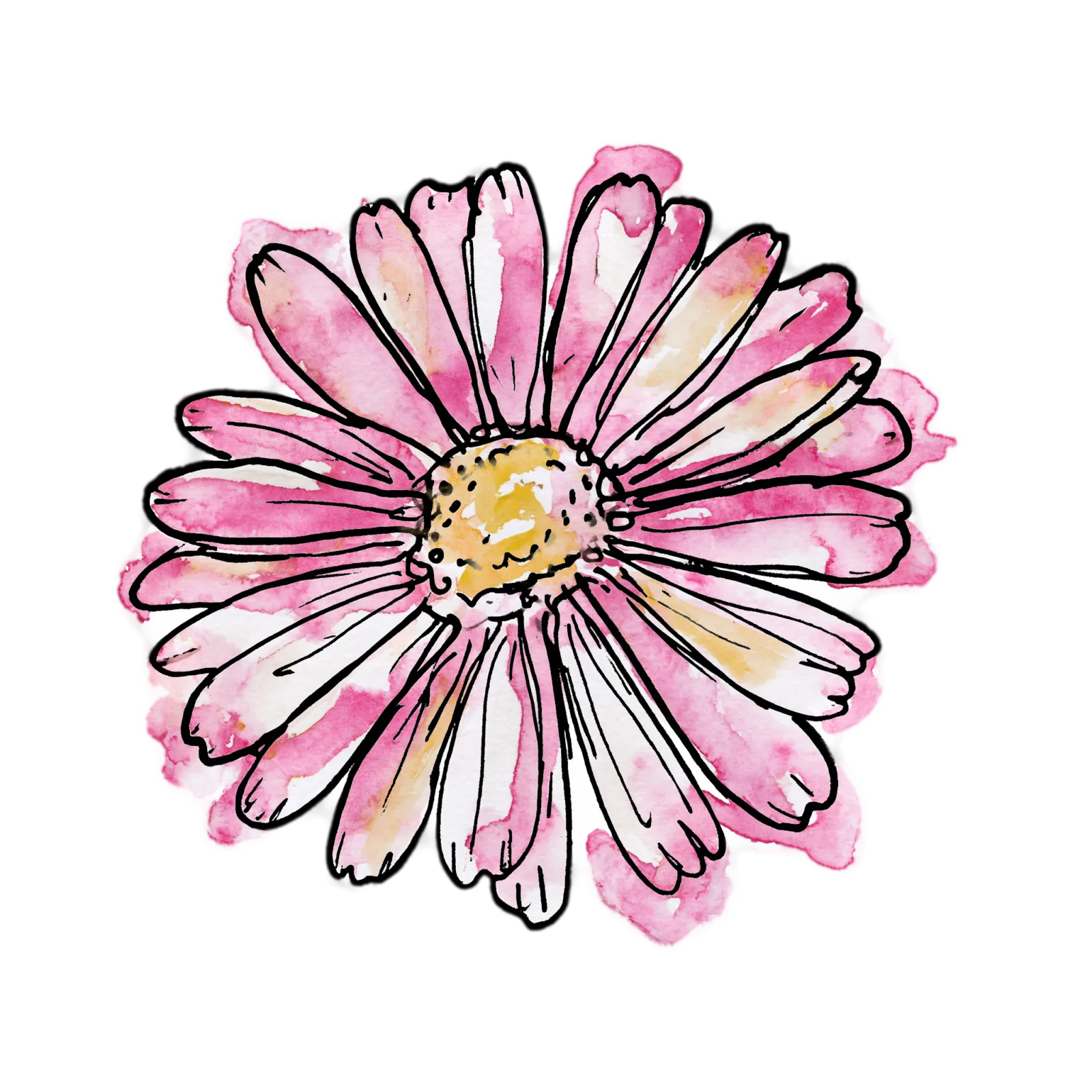 Pink Daisy
