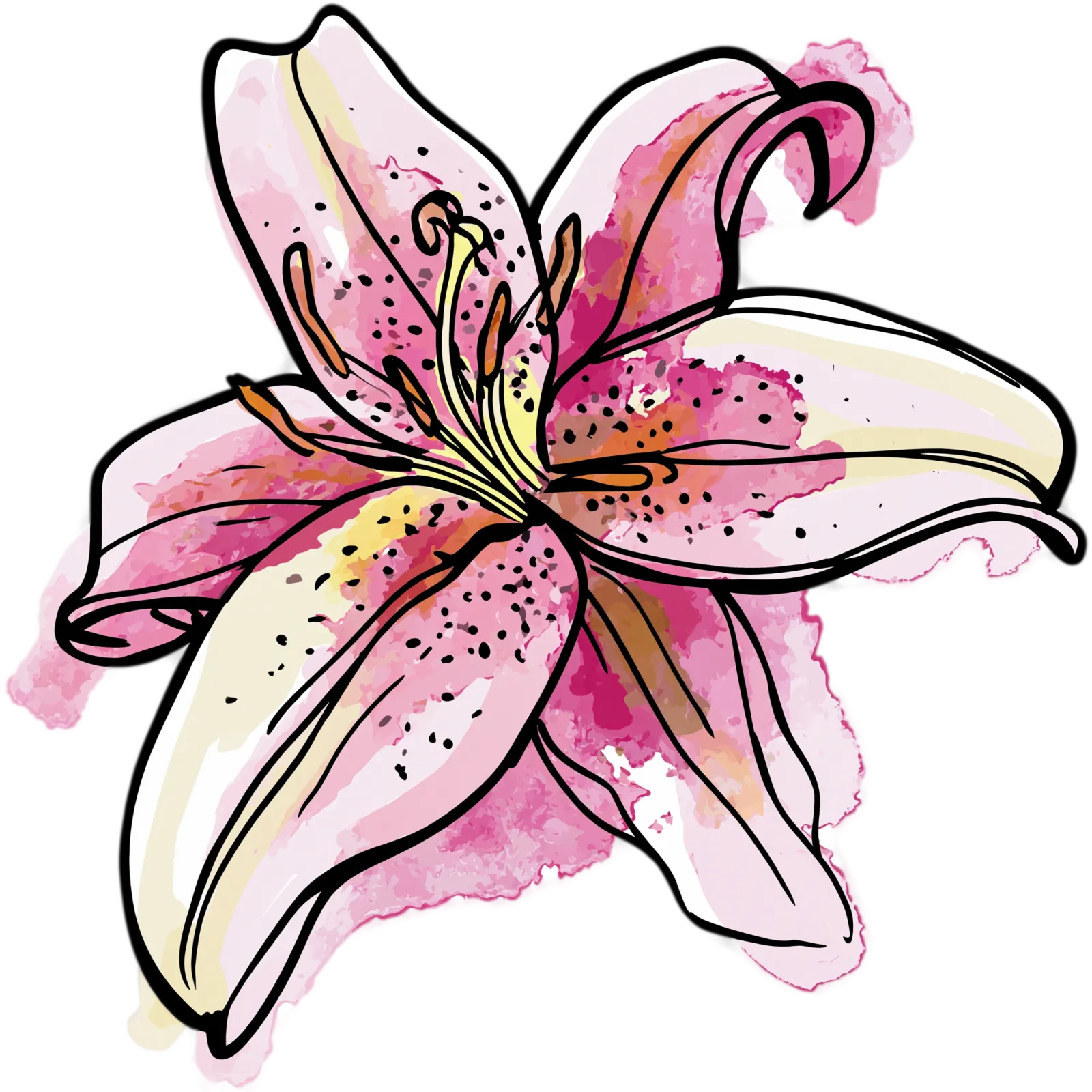 Pink Stargazer Lily