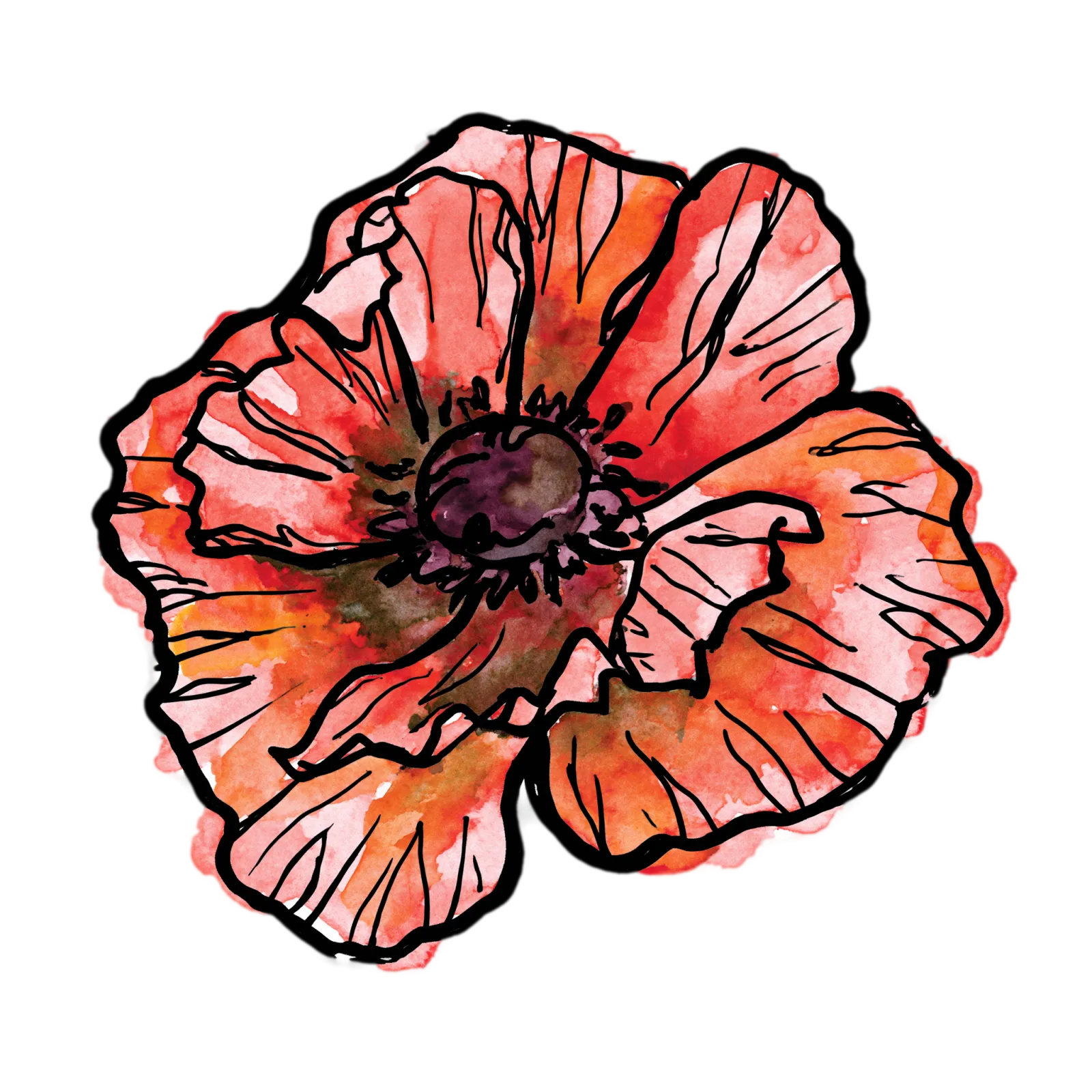 Poppy