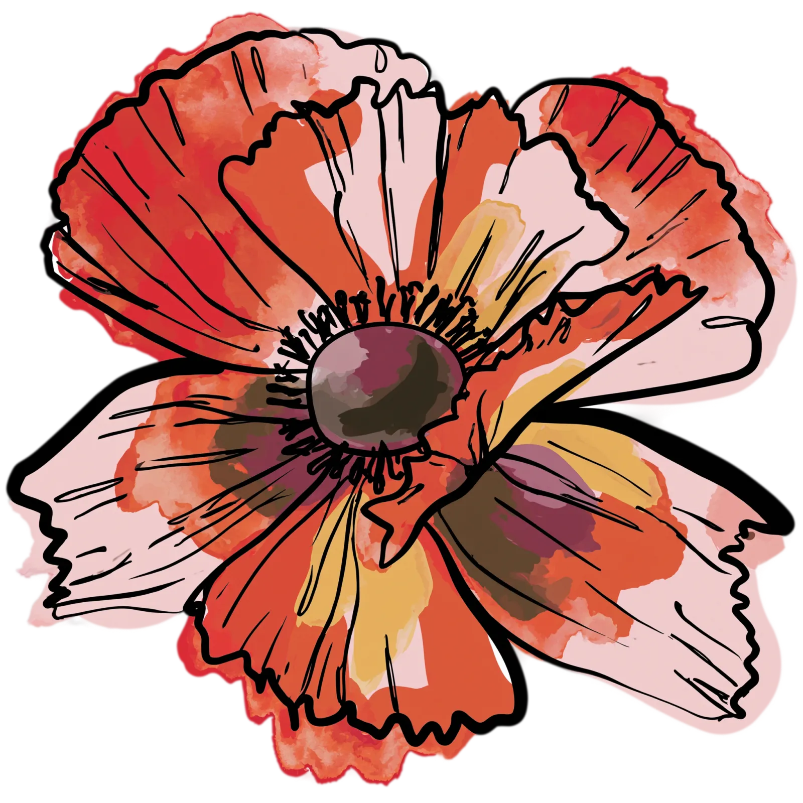 Poppy