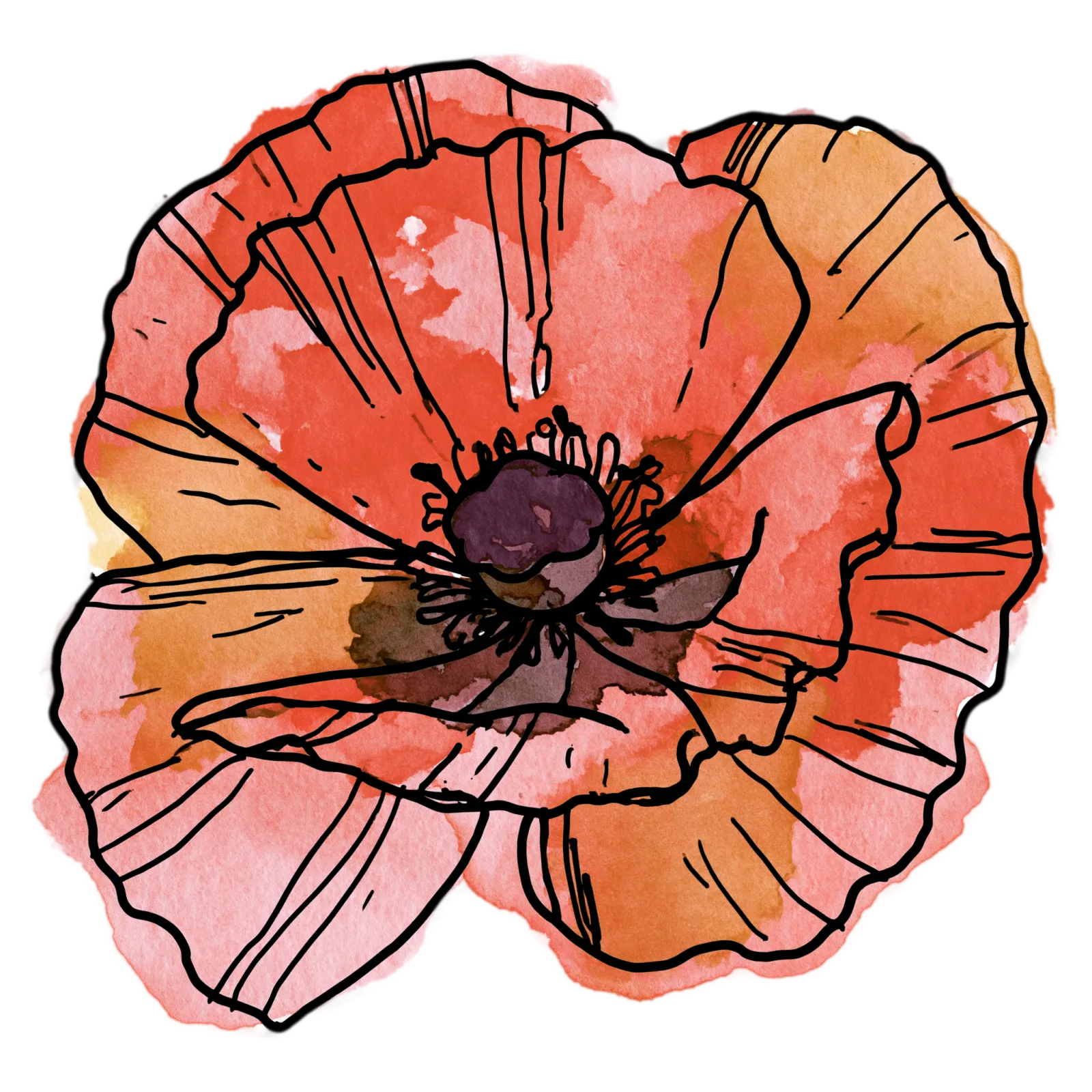 Poppy