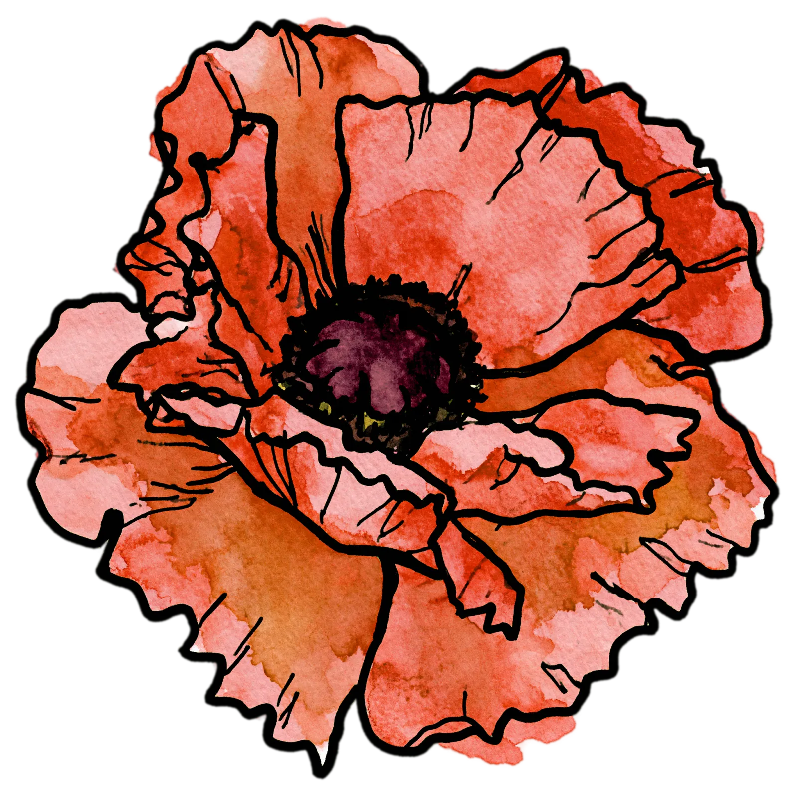 Poppy