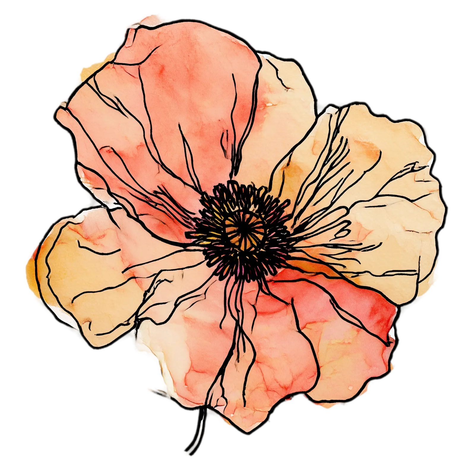 Poppy