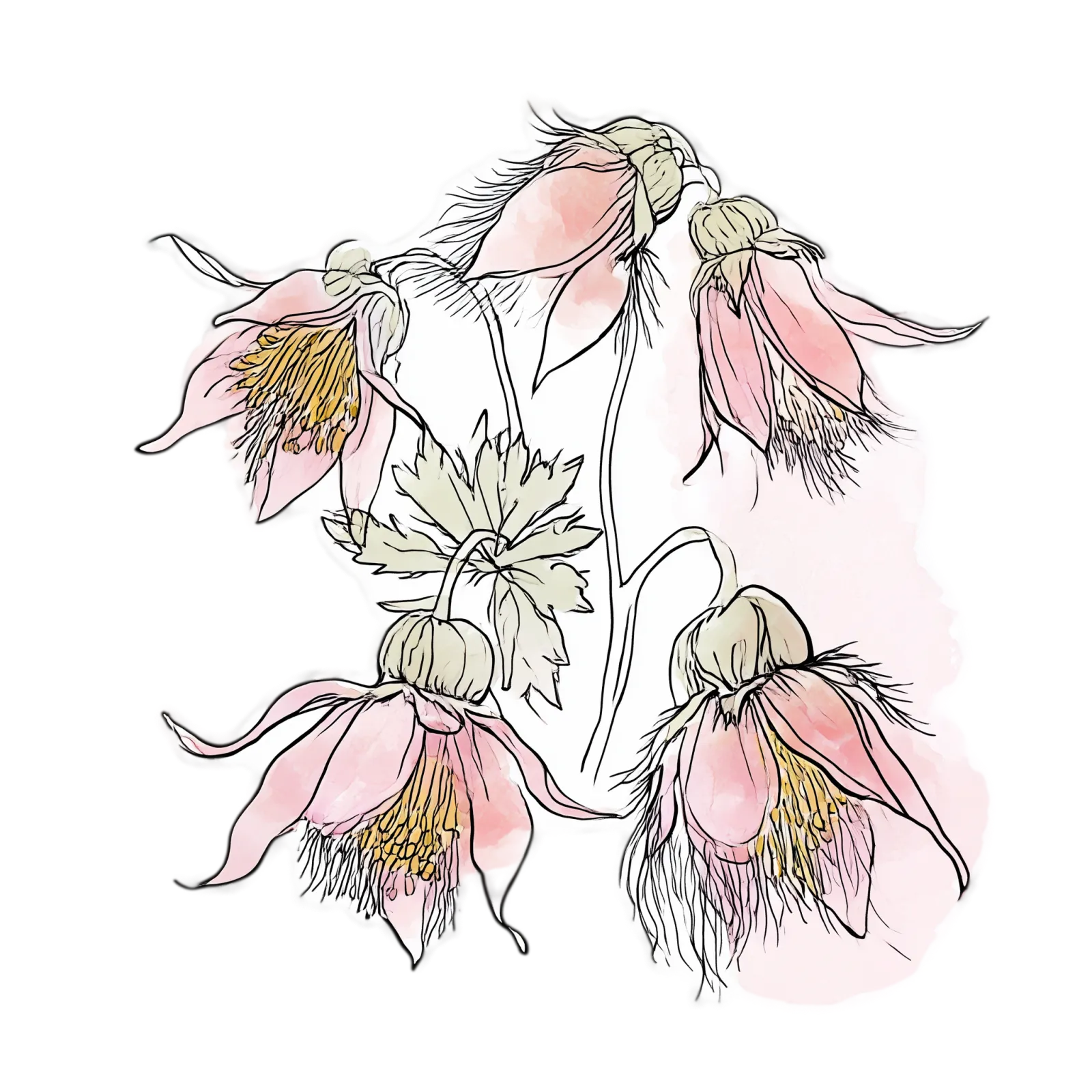 Prairie Smoke