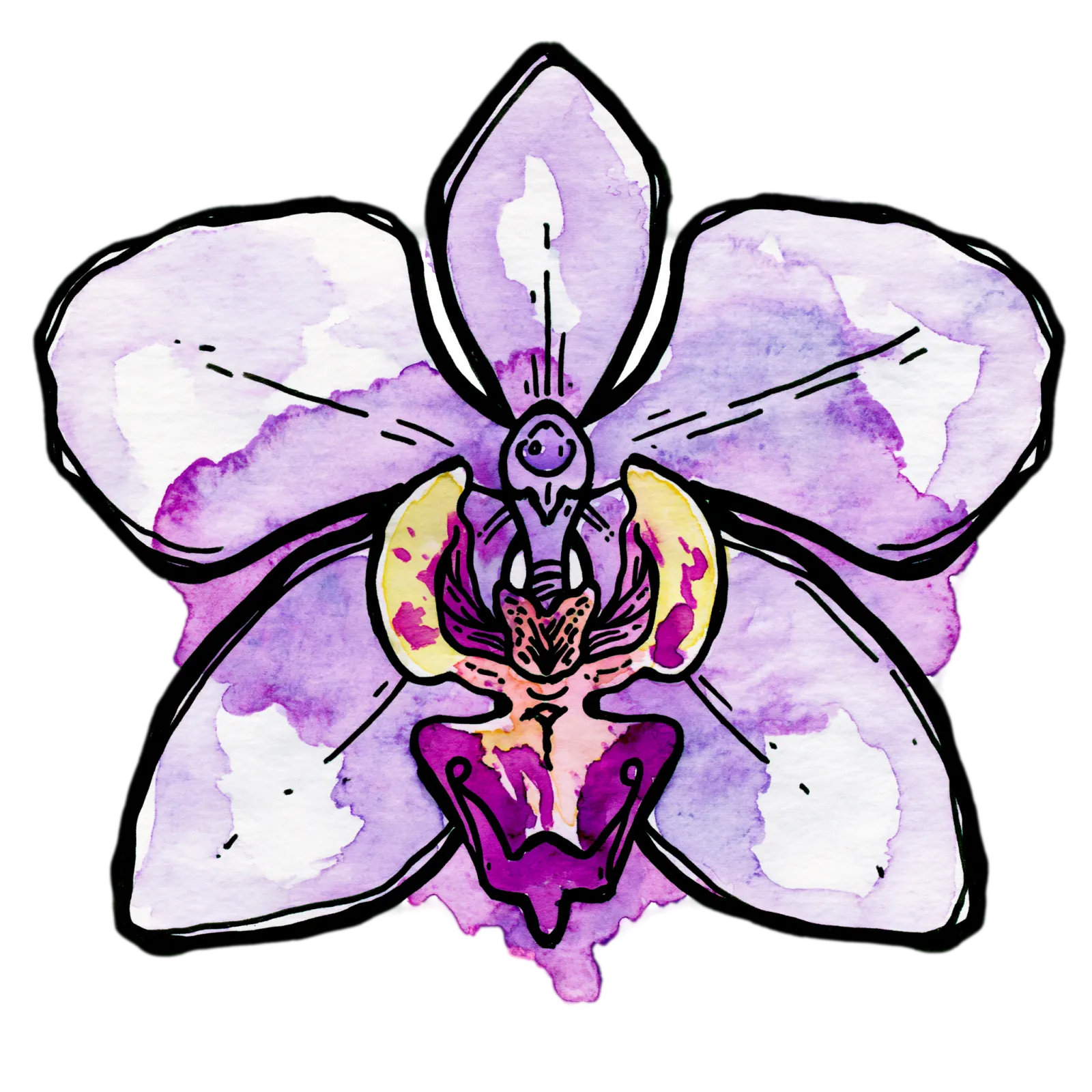 Purple Orchid