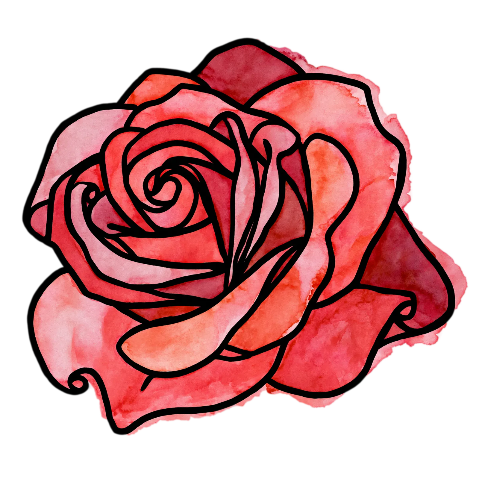Red Rose