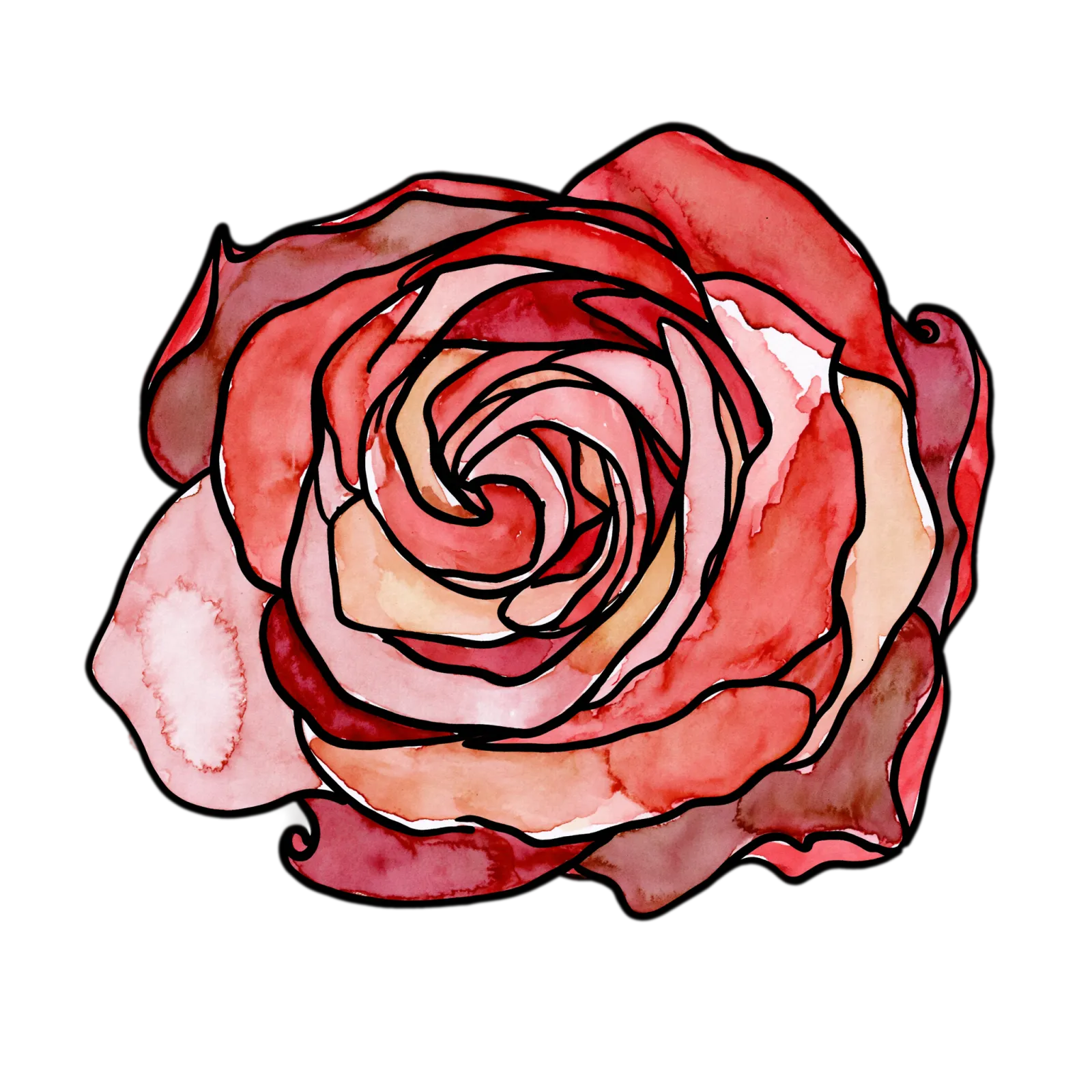 Red Rose