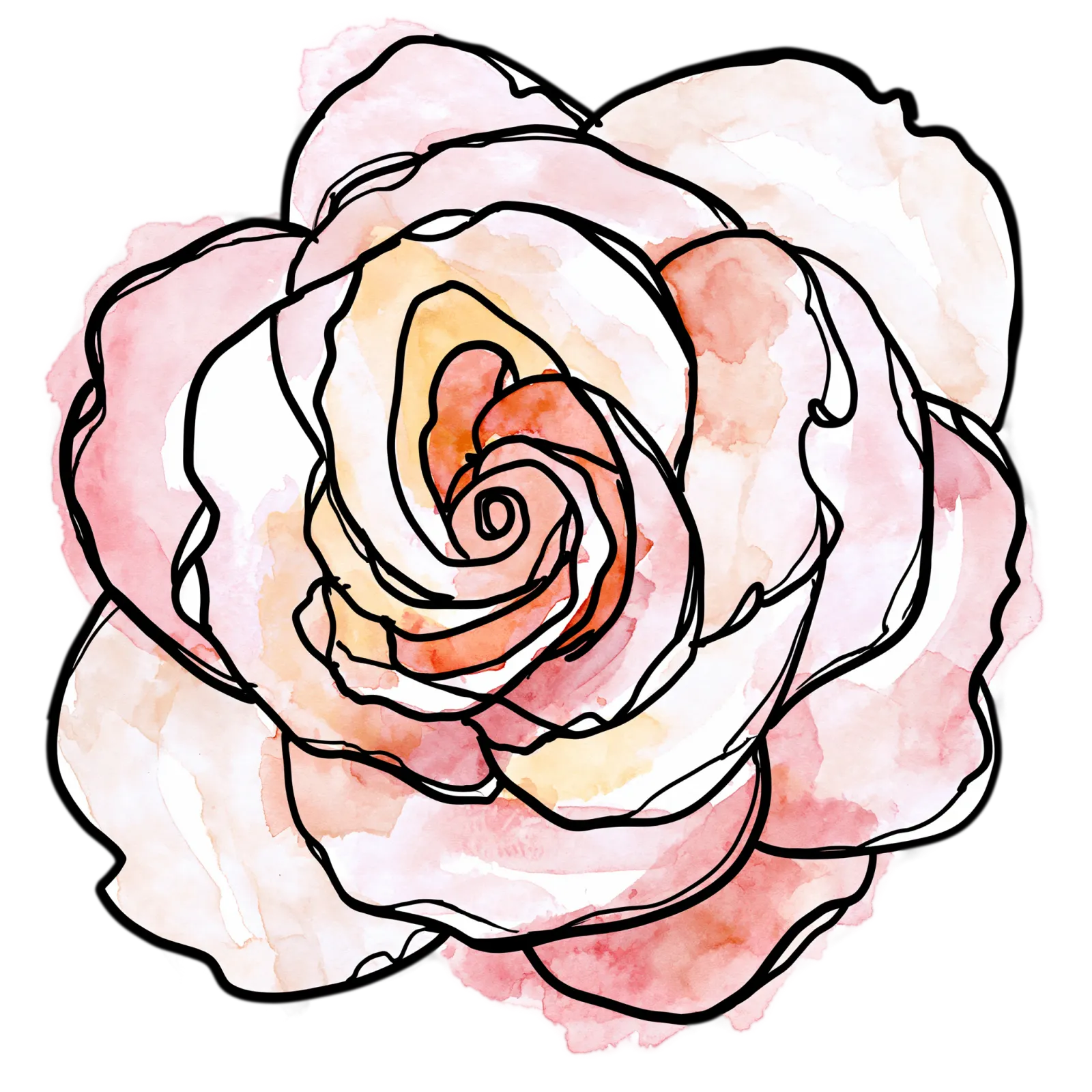 Soft Pink Rose