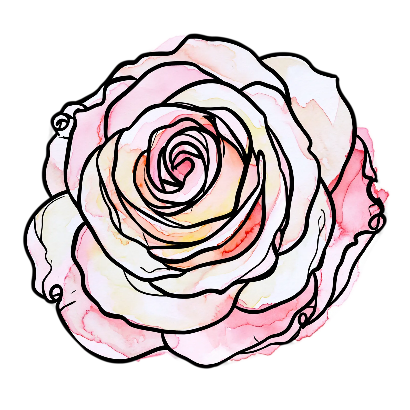 Soft Pink Rose