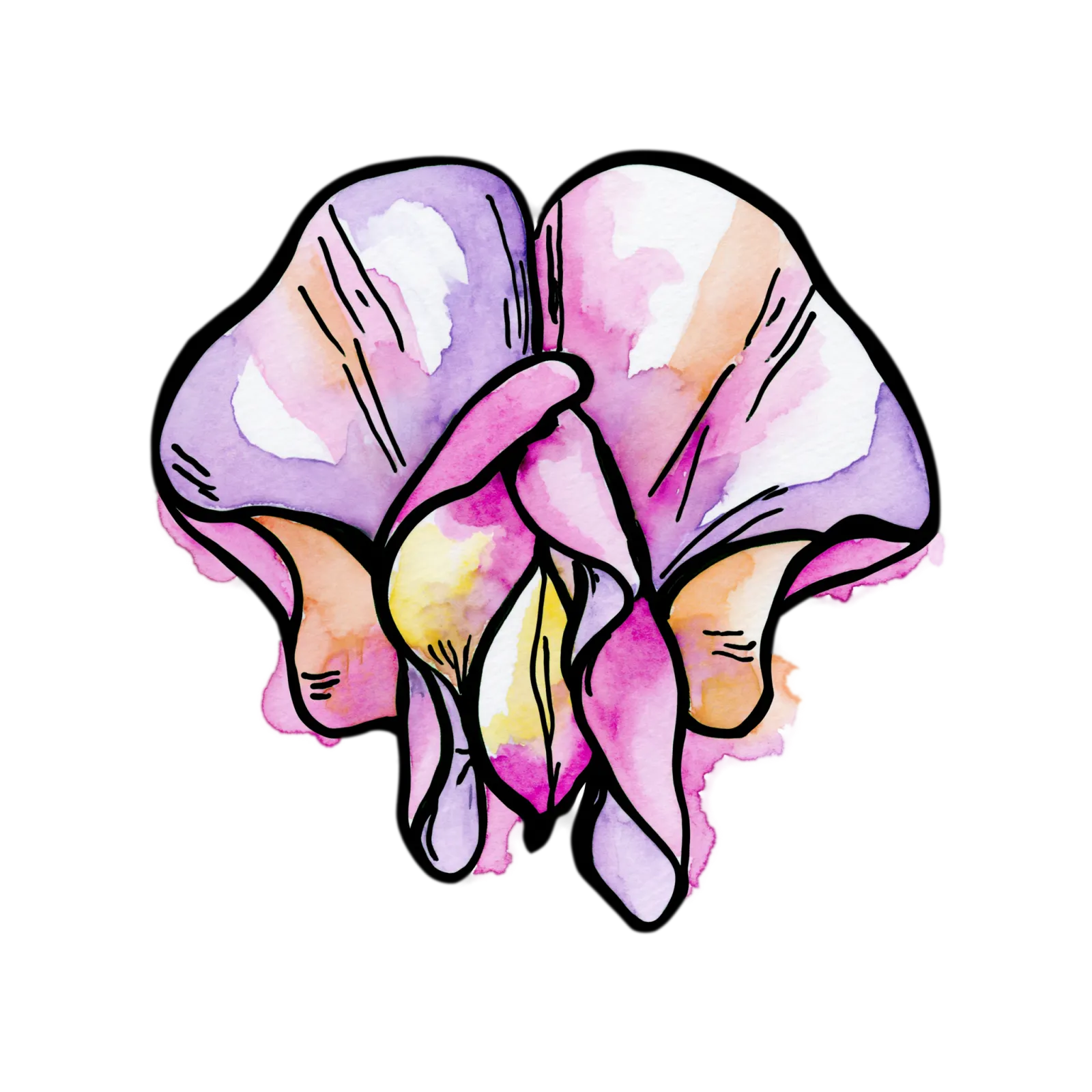 Sweet Pea