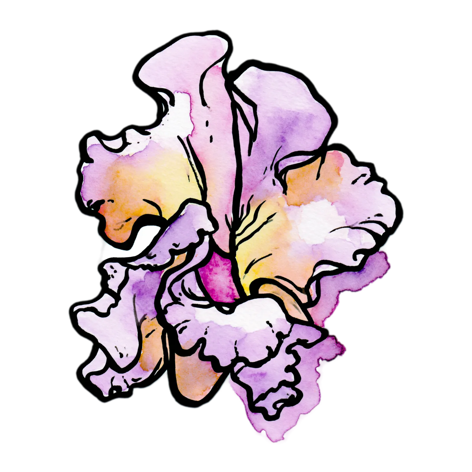 Sweet Pea