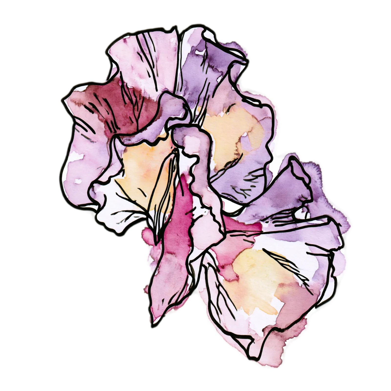 Sweet Pea